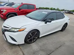 4T1B61HK3KU290535 2019 TOYOTA CAMRY