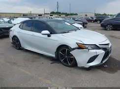4T1B61HK3KU731080 2019 TOYOTA CAMRY