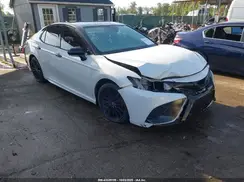 4T1B61HK4KU259083 2019 TOYOTA CAMRY