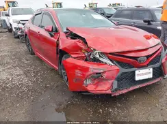 4T1B61HK5KU261201 2019 TOYOTA CAMRY