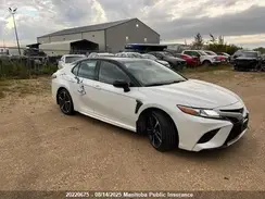 4T1B61HK6KU238364 2019 TOYOTA CAMRY