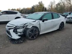 4T1B61HK6KU242009 2019 TOYOTA CAMRY