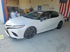 4T1B61HK6KU297267 2019 TOYOTA CAMRY