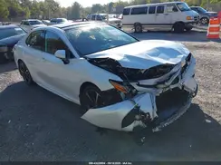 4T1B61HK6KU811442 2019 TOYOTA CAMRY