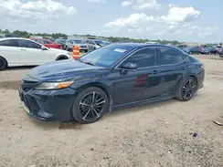 4T1B61HK6KU813059 2019 TOYOTA CAMRY
