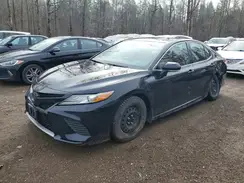 4T1B61HK7KU239801 2019 TOYOTA CAMRY