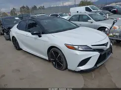 4T1B61HK7KU244447 2019 TOYOTA CAMRY