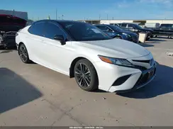4T1B61HK7KU294264 2019 TOYOTA CAMRY