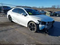 4T1B61HK7KU719806 2019 TOYOTA CAMRY