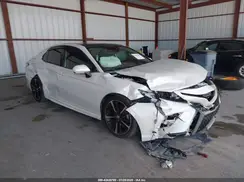 4T1B61HK7KU797096 2019 TOYOTA CAMRY