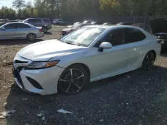 4T1B61HK7KU821297 2019 TOYOTA CAMRY