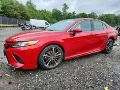 4T1B61HK8KU178281 2019 TOYOTA CAMRY