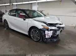 4T1B61HK8KU257109 2019 TOYOTA CAMRY