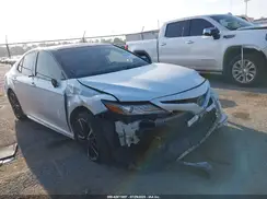 4T1B61HK8KU262407 2019 TOYOTA CAMRY