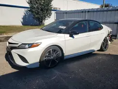 4T1B61HK8KU279210 2019 TOYOTA CAMRY