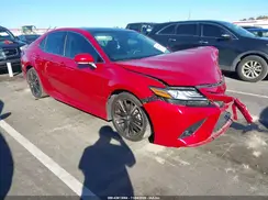 4T1B61HK8KU294712 2019 TOYOTA CAMRY
