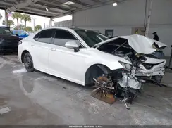 4T1B61HK8KU703713 2019 TOYOTA CAMRY