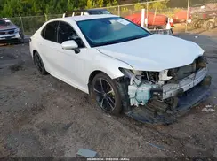 4T1B61HK8KU754466 2019 TOYOTA CAMRY