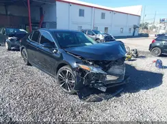 4T1B61HK8KU775821 2019 TOYOTA CAMRY
