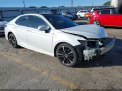 4T1B61HK8KU841381 2019 TOYOTA CAMRY