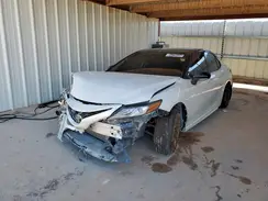 4T1B61HK9KU160789 2019 TOYOTA CAMRY