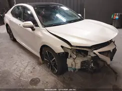4T1B61HK9KU708080 2019 TOYOTA CAMRY