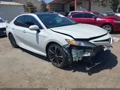 4T1B61HK9KU730743 2019 TOYOTA CAMRY