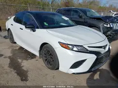 4T1B61HK9KU743282 2019 TOYOTA CAMRY