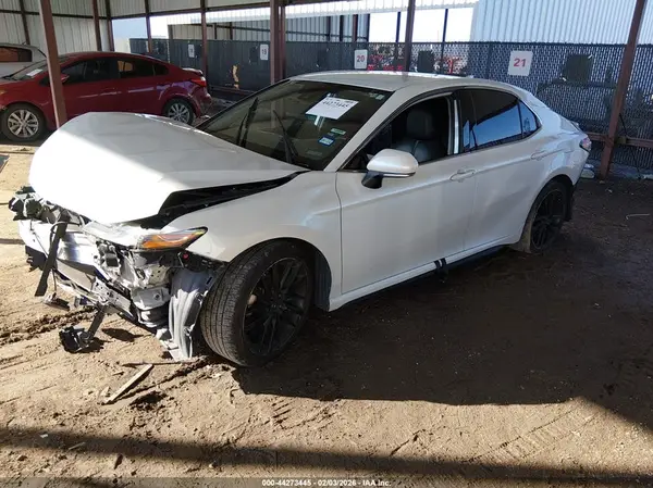 4T1B61HK9KU838814 2019 TOYOTA CAMRY - Image 2