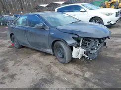 4T1BD1FK0HU221299 2017 TOYOTA CAMRY