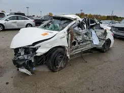 4T1BD1FK2HU206495 2017 TOYOTA CAMRY