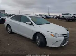 4T1BD1FK3GU177359 2016 TOYOTA CAMRY