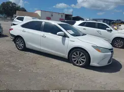 4T1BD1FK3GU186742 2016 TOYOTA CAMRY