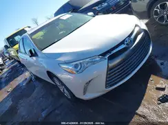 4T1BD1FK3GU197823 2016 TOYOTA CAMRY