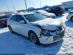 4T1BD1FK4HU223668 2017 TOYOTA CAMRY
