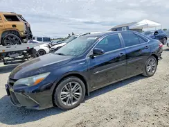 4T1BD1FK5HU201016 2017 TOYOTA CAMRY