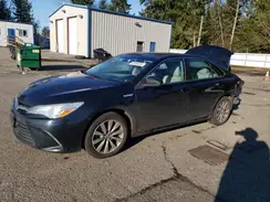 4T1BD1FK6GU181924 2016 TOYOTA CAMRY
