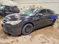 4T1BD1FK7GU194813 2016 TOYOTA CAMRY