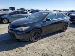 4T1BD1FK8GU183769 2016 TOYOTA CAMRY