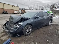 4T1BD1FK9GU189872 2016 TOYOTA CAMRY