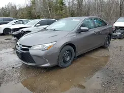 4T1BD1FK9HU203139 2017 TOYOTA CAMRY