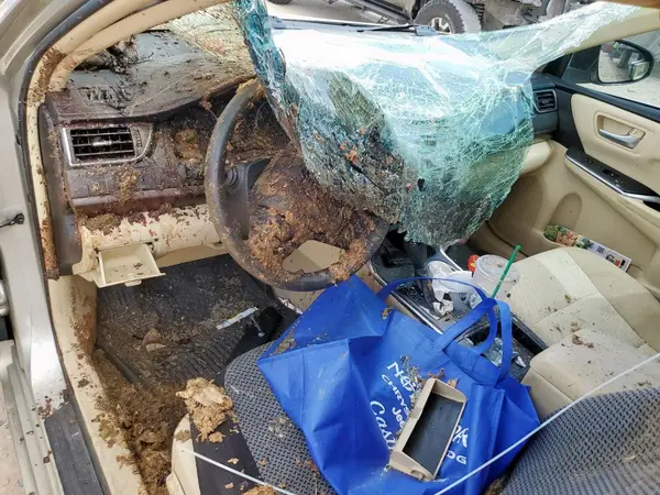 4T1BF1FK1HU735947 2017 TOYOTA CAMRY - Image 8