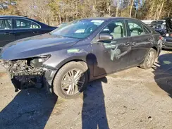 4T1BF1FK4HU717393 2017 TOYOTA CAMRY