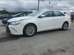 4T1BF1FK6GU131342 2016 TOYOTA CAMRY