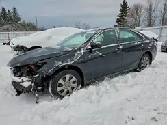 4T1BF1FK7HU683014 2017 TOYOTA CAMRY