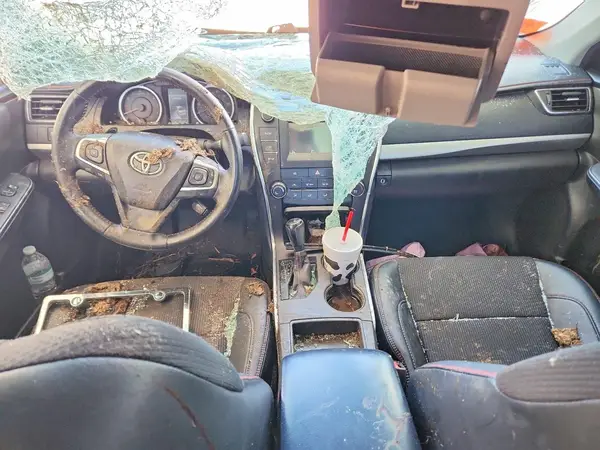 4T1BF1FK9GU203781 2016 TOYOTA CAMRY - Image 8