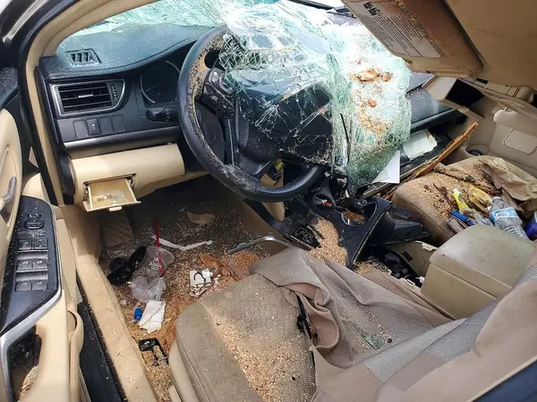 4T1BF1FK9HU397889 2017 TOYOTA CAMRY - Image 8