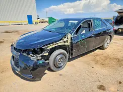 4T1BF1FKXHU342920 2017 TOYOTA CAMRY
