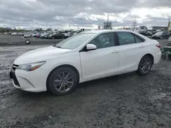 4T1BF1FKXHU352556 2017 TOYOTA CAMRY