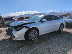 4T1BZ1FB1KU033562 2019 TOYOTA AVALON